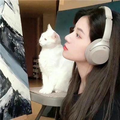 黑势力
